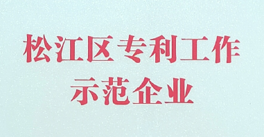 涌鎮(zhèn)獲得【2020年松江區(qū)專(zhuān)利示范企業(yè)】